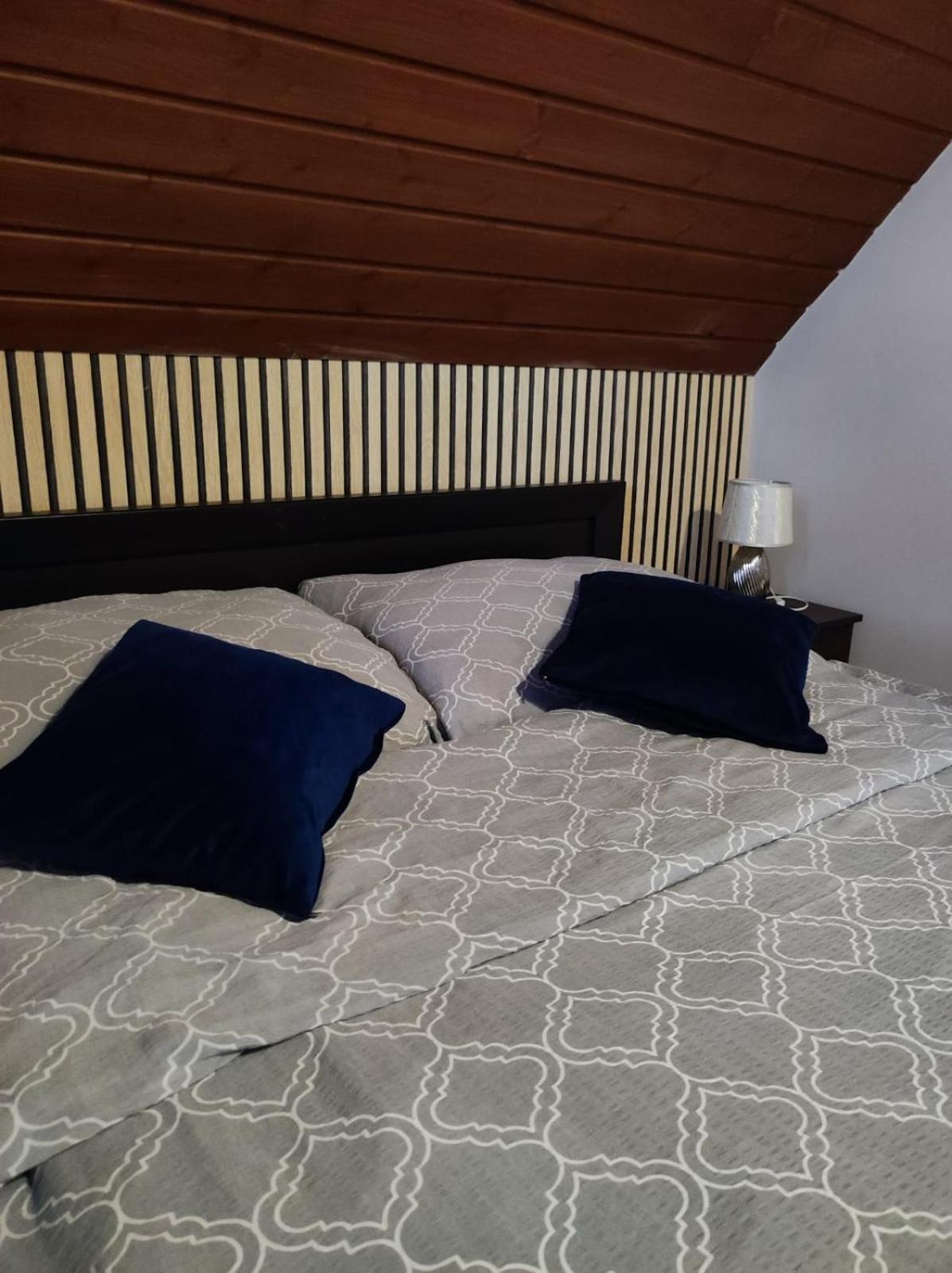 Apartment W Bieszczadach Nova Dolina