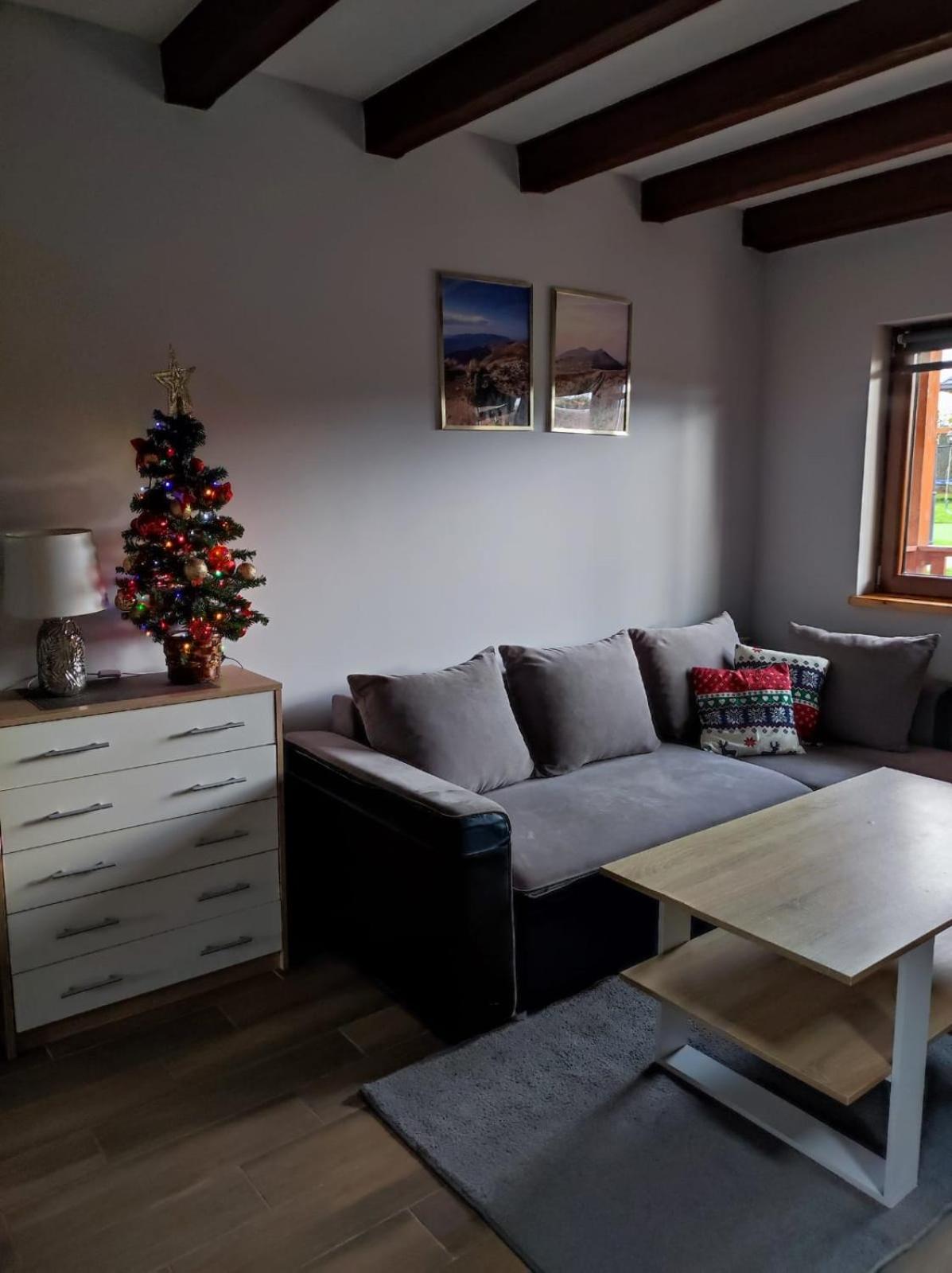 W Bieszczadach Nova Dolina Apartment